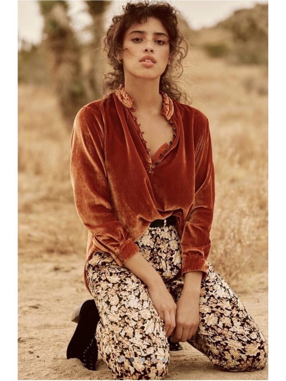 Anthropologie Kristianne Velvet Ruffle Neck Blouse in Cinnamon Size Small